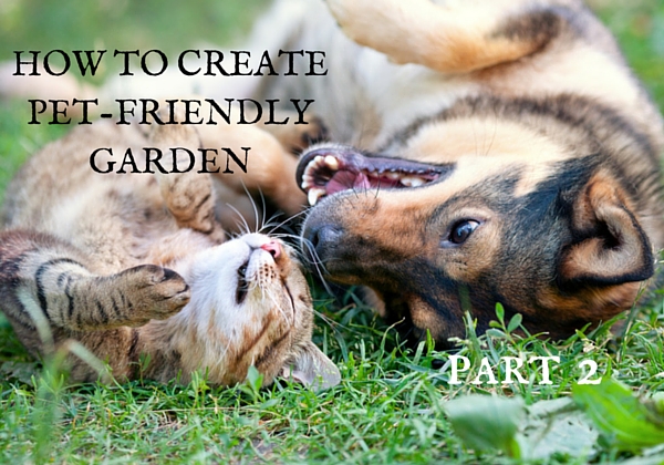 How to create pet-friendly garden