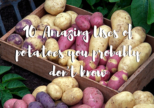 Amazing uses of potatoes - Curious About Everything