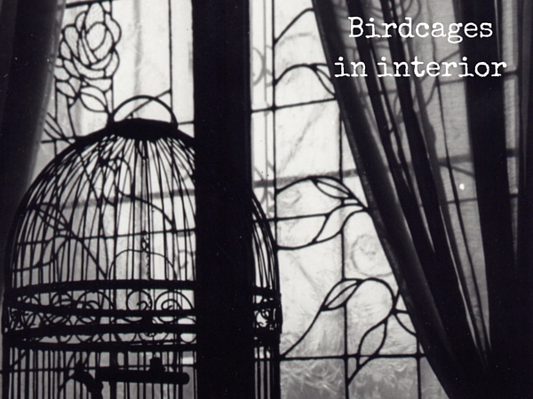 How to use birdcages in home decor